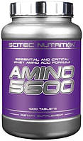 Аминокислота Scitec Amino 5600, 1000 таблеток