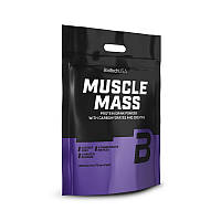 Гейнер BioTech Muscle Mass, 4 кг Ваниль