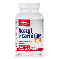 Жиросжигатель Jarrow Formulas Acetyl L-Carnitine 500 mg, 120 капсул