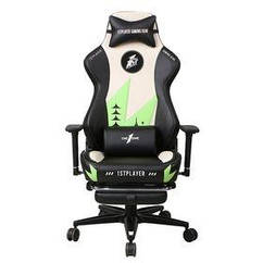 Крісло для геймерів 1stPlayer Duke Black&White&Green