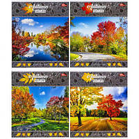 Від 12 шт. Зошит кольоровий 60 листів, клітина 3474 N  купити дешево оптом в інтернет-магазині