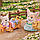 Уценка Sylvanian Families лисья семья фенек  5698 Calico Critters Sylvanian Families Fennec Fox Family, фото 3