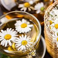 Аромамасло Candlescience Chamomile Tea (Ромашковый чай)