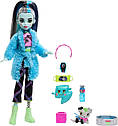 Лялька Mattel Монстер Хай Френкі Штейн Піжамна вечірка Monster High Frankie Stein Creepover Party Set HKY68, фото 3