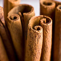 Аромамасло Candlescience Cinnamon Stick (Палочки корицы)