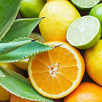 Аромамасло Candlescience Citrus Agave (Цитрусовая агава)