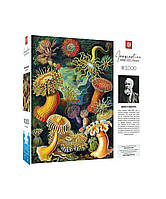 GoodLoot Пазл Imagination: Ernst Haeckel: Sea Anemones/Stworzenia morskie Puzzles 1000 эл. Technohub - Гарант