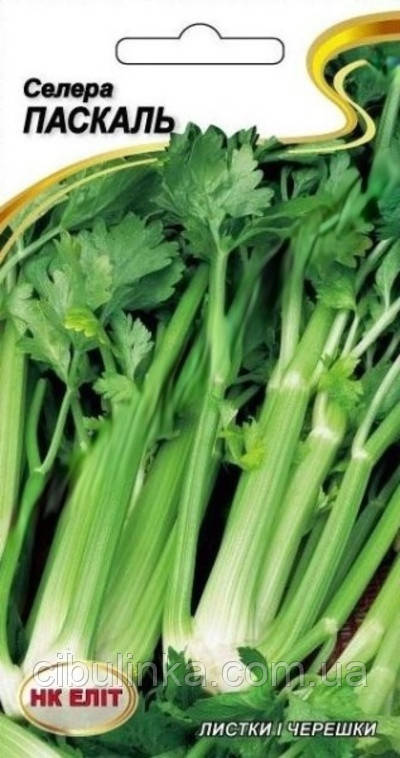 Насіння Селера черешкова Паскаль НК Еліт 0,5 г, фото 1