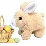 Інтерактивна іграшка Pitter patter pets Кролик звук, музика, що світиться і грає, М'яка іграшка, фото 5