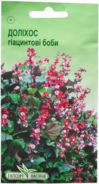 Насіння Доліхос гіацинтові боби 5 шт., фото 1