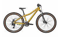 Scott Roxter 26 disc 2023 ()