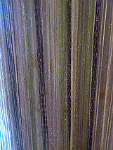 Штори нитки з люрексом веселка 30, фото 2