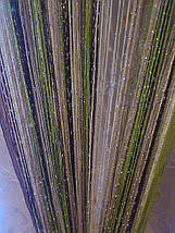 Штори нитки з люрексом веселка 30, фото 3