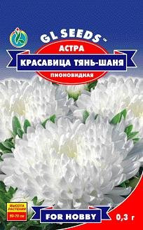 Семена Астры Красавица Тянь-Шаня d=10-12cm белая пионовидная - фото 3 - id-p370102724