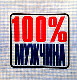100% чоловік, фото 2
