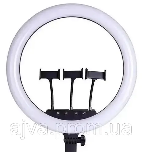 Кольцевая LED лампа LS-360 (36см) 3 крепления кольцевой свет световое ...