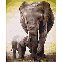 Картина по номерам "Первые дни слоненка" Brushme BS52150 40х50 см Dobuy Картина за номерами