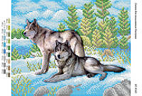 Картина для вышивки бисером БС-4141 Вовки на снігу