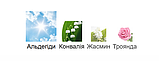 Духи Pani Walewska Classic Miraculum, фото 4