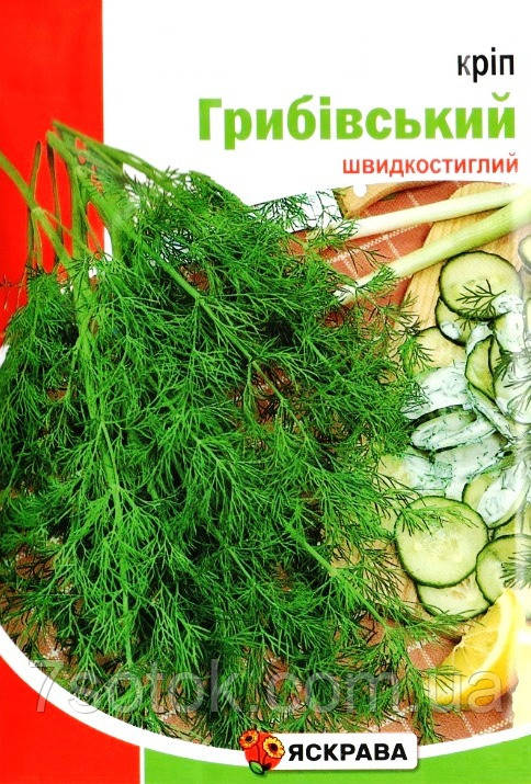 Насіння кропу Грибівський, ТМ Яскрава, 20г