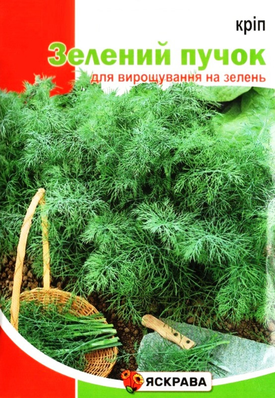 Насіння кропу Зелений пучок, кущовий, ТМ Яскрава, 20г