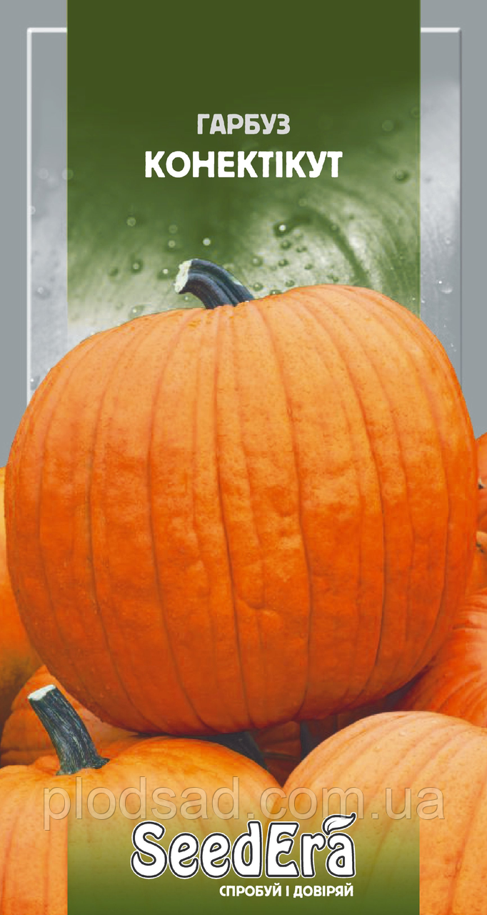 Насіння Гарбуз Контейнер 2 г, Seedera