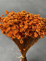 Гліксія сухцвіт помаранчева (95 гр)