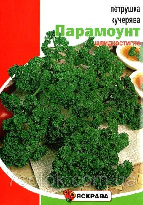Насіння петрушки Кучерява Парамоунт, ТМ Яскрава, 10г