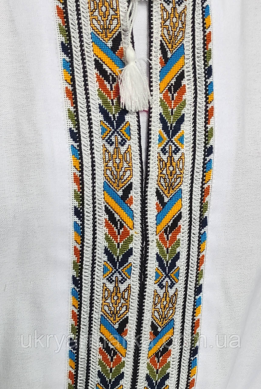 Чоловіча сорочка вишиванка "Символи Держави", фото 1