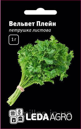 Насіння петрушки Вельвет Плейн 1 гр., листова, ТМ "ЛедаАгро"