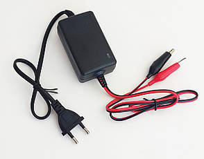 Зарядний пристрій дитячого електромобіля 6 вольтів 2000 міліамперів на клемах