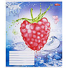 Зошит шкільний Мрії Збуваються 12арк коса з доп. лінією арт. 3365, фото 2