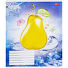 Зошит шкільний Мрії Збуваються 12арк коса з доп. лінією арт. 3365, фото 5