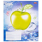 Зошит шкільний Мрії Збуваються 12арк коса з доп. лінією арт. 3365, фото 4