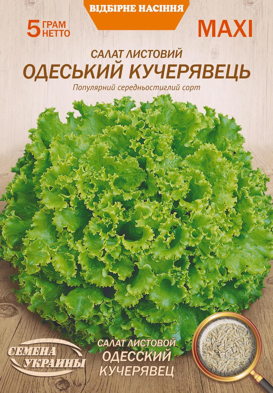 Салат Одеський кучерявець 5 г ТМ Насіння України МАКСІ, фото 1