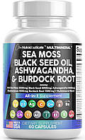 Мощная добавка все в одном Clean Nutraceuticals Sea Moss Black Seed Oil Ashwagandha Burdock Root 60 капсул