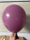 Латексна кулька пастель Дика ягода Wild berry 12" (30см) Kalisan, фото 2