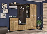 Шафа 2Д1Ш Тріо, фото 3