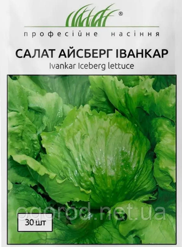 Салат качанний Іванкар(тип Айсберг) Wing Seed Голландія 30 шт