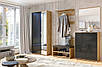 Сучасні стильні модульні меблі передпокій у довгий коридор з шафою та м'яким сидінням Луна Миро-Марк, фото 2