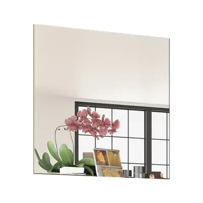 Дзеркало Торіно, фото 1