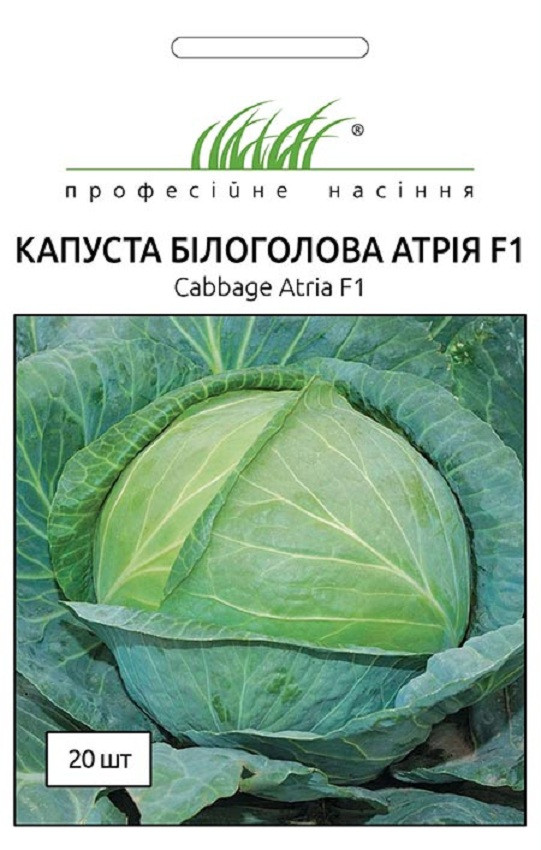 Семена капусты белокочанной Атрия F1 20 шт. Seminis - фото 2 - id-p412825938