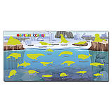 Хто де живе . Тварини світу, з наліпками, фото 3