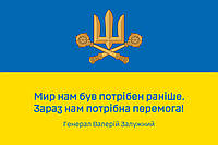 Флаг «Сейчас нам нужна победа!» цитата генерала Залужного сине-желтый