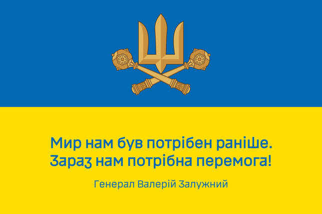 Прапор «Зараз нам потрібна перемога!» цитата генерала Залужного синьо-жовтий, фото 1