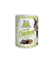 Лакомства для кошек Brit Care Cat Snack Superfruits Chicken, курица 100 г p