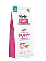 Сухой корм Brit Care Dog Grain-free Puppy для щенков, беззерновой с лососем, 12 кг p