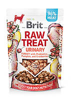 Лакомство для собак Brit Raw Treat freeze-dried Urinary для профилактики мочекаменной болезни, индейка, 40 г p