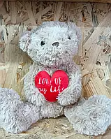 Дитяча м'яка іграшка Sainsburys плюшевий ведмедик із серцем 23 см різнокольоровий
