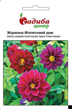 Насіння Жоржини Фіолетовий дим 0,1 г, Hem Zaden, фото 1